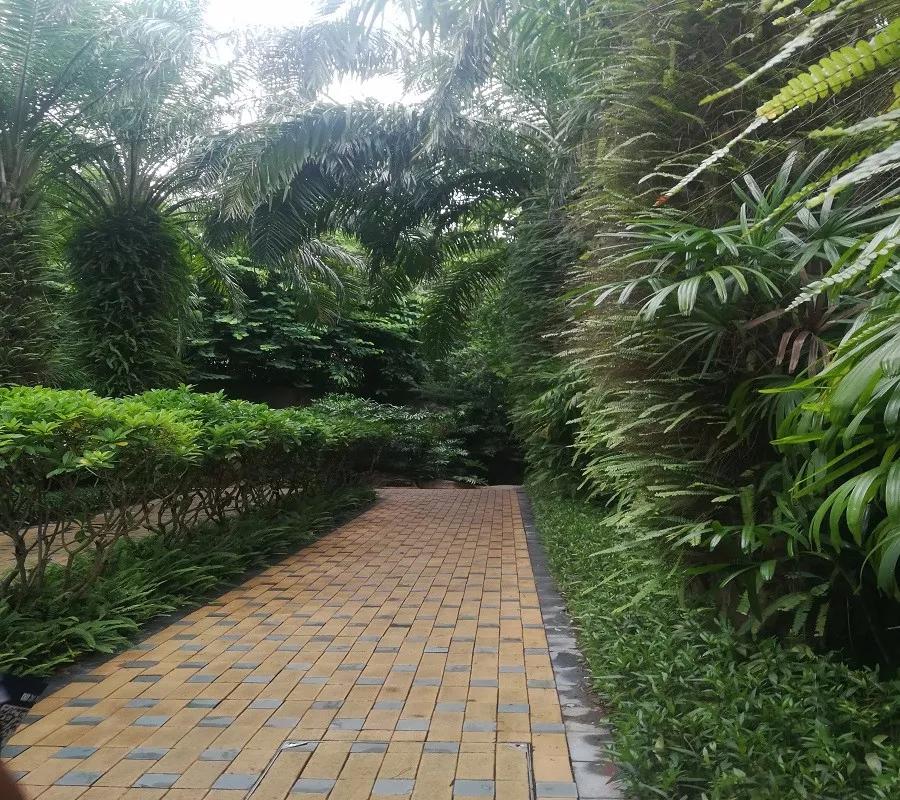 星河丹堤小区效果图,星河丹堤航拍视频