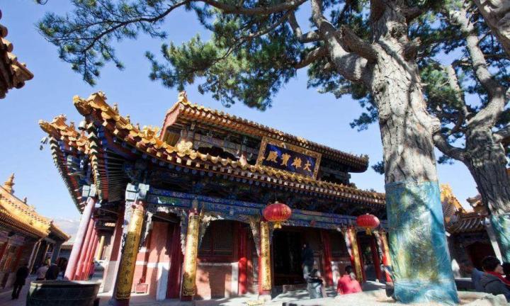 忻州市到五台山景区怎么走,山西省忻州市五台山景区介绍