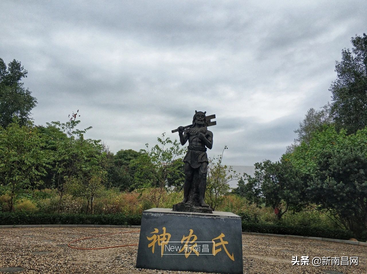 江西中医药大学回忆,现在的江西中医药大学