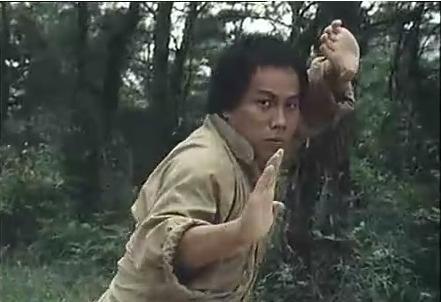 梁小龙陈真动作解析,梁小龙陈真腿功