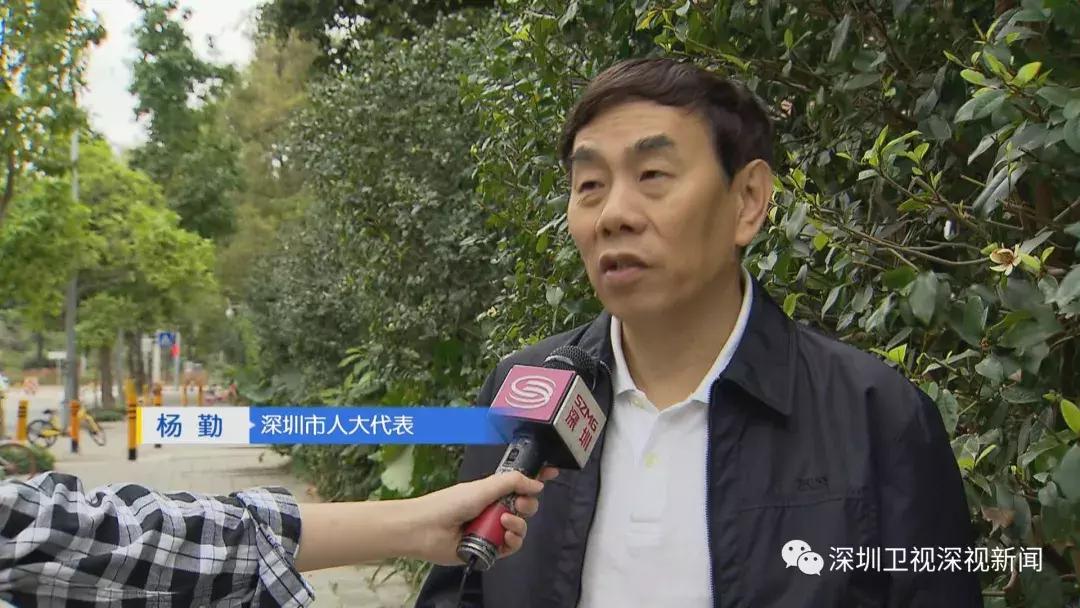 深圳垃圾分类政策执行状况,深圳垃圾分类新政策落地日期