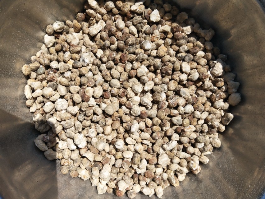 在山东、河南两地，当西瓜遇见黄豆，感觉妙不可言！