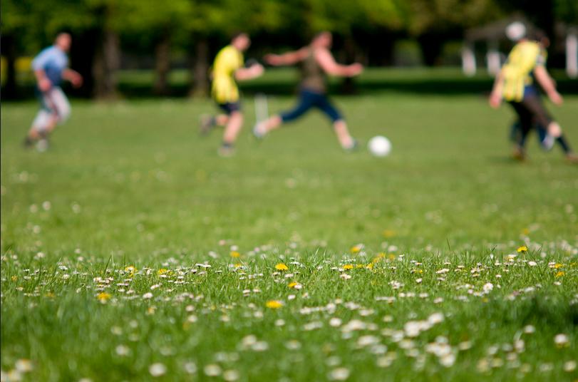 伦敦英超球队主场分布地图,伦敦有几支英超球队