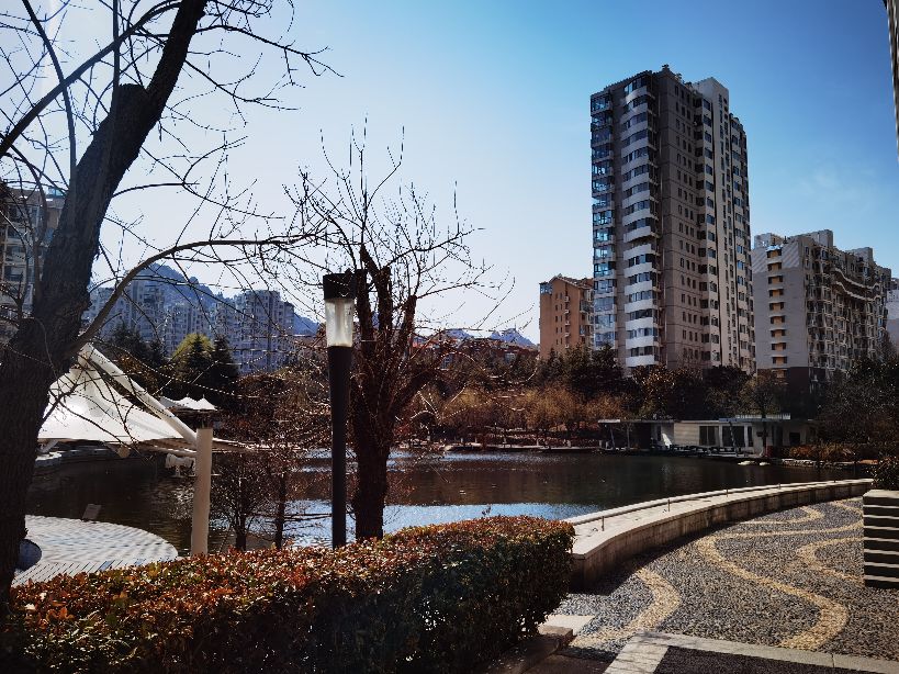 高层两部电梯全停了,高层住宅两部电梯全部停运