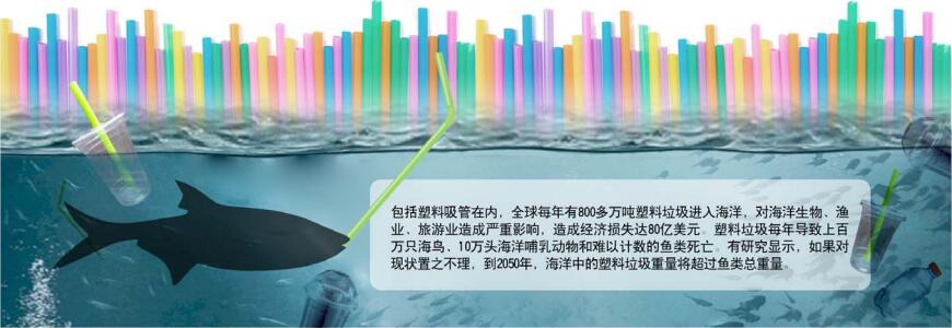 限塑令吸管,最新吸管禁塑令