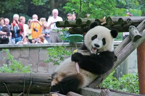 国庆亲子游推荐重庆主城,小众重庆避暑亲子游推荐