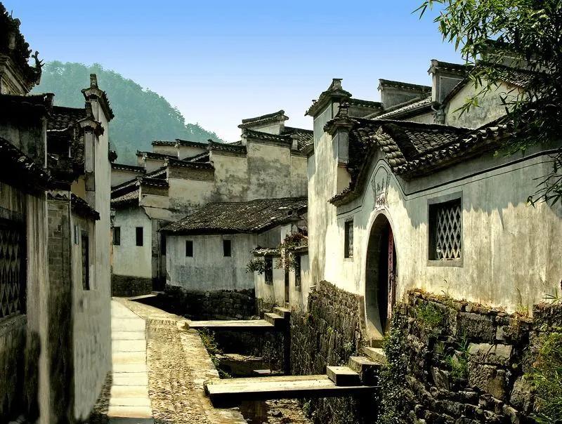 西递到宏村古道,西递宏村古道摘野柿子