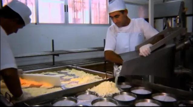 奶酪哪一款口味比较好,哪个品牌的奶酪比较好吃