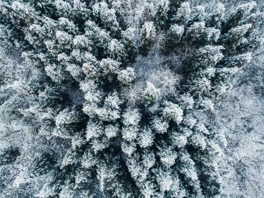 贵阳云雾山云海,贵阳云雾山雾凇旅游攻略