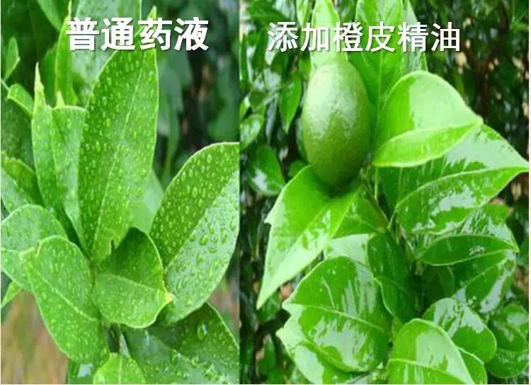 有机硅与橙皮精油,有机硅助剂和橙皮精油