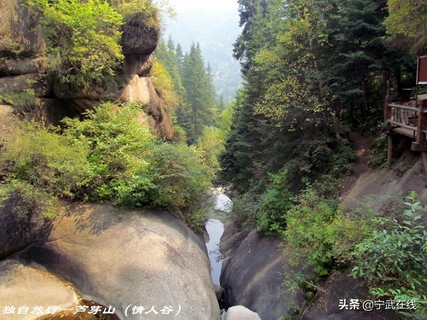 宁武芦芽山悬崖栈道,太原出发芦芽山马仑草原自驾路线