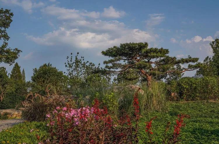 儿童乐园绿心公园,绿心公园儿童游乐区最新视频