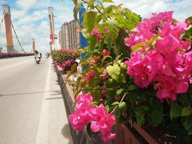 外地人眼里的钦州，第一眼竟觉得像个县城！钦州人你们还坐得住？