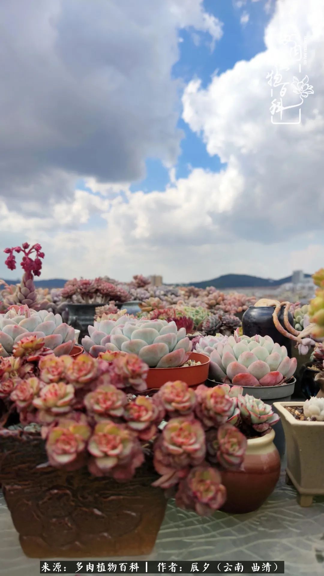 缂辩换鏃栨棊钁宠暏鐢熼,缂辩换鏃栨棊钁宠暏鐢熼鍑哄