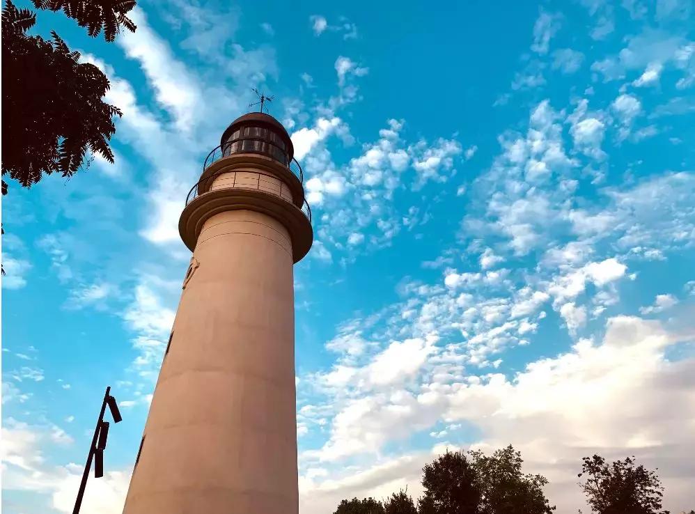重庆初夏花海尽在这些免费公园,重庆最近的网红地花海