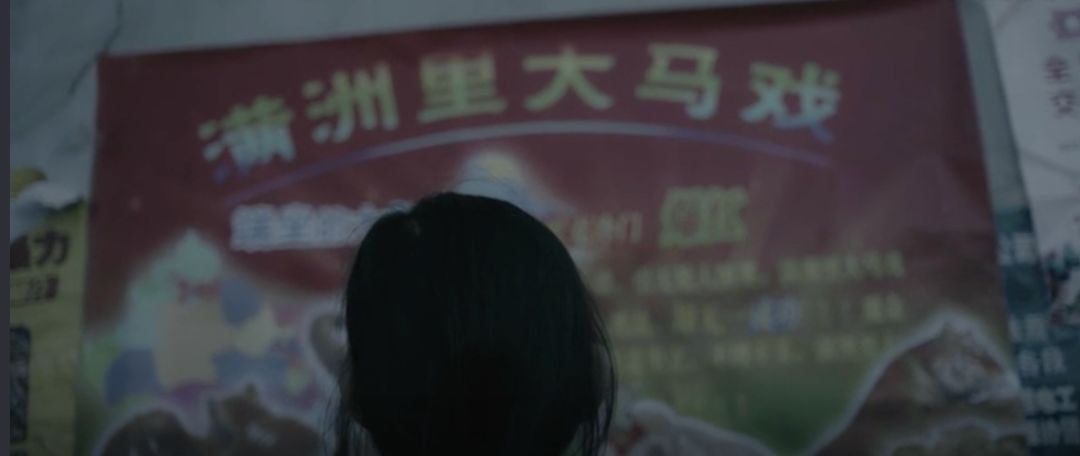 大象席地而坐有人说话,大象席地而坐