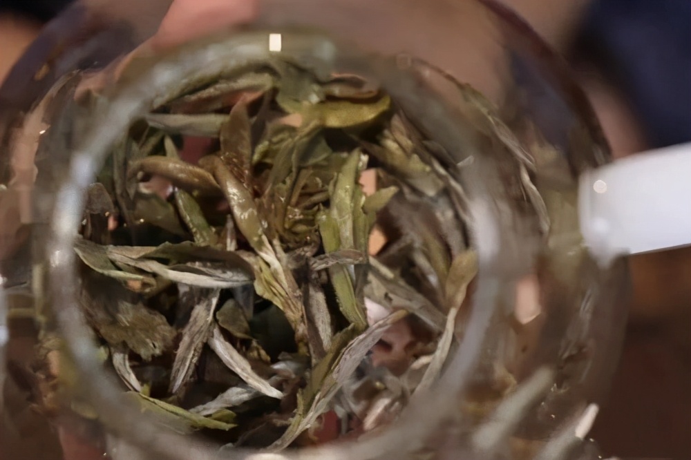 为什么喝完茶感觉口渴,为啥喝完茶以后容易饿