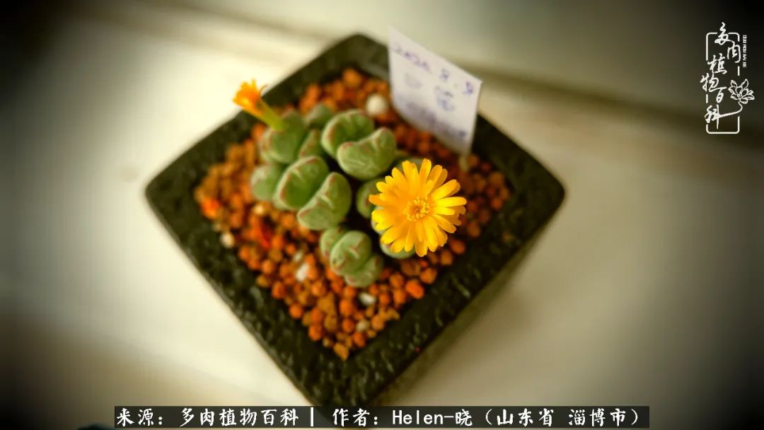 人到中年温暖如初,人到中年岁月静好