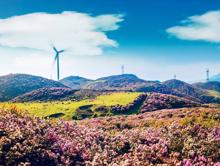 贵州盘州乌蒙草原海拔多少,贵州六盘水乌蒙大草原海拔多少