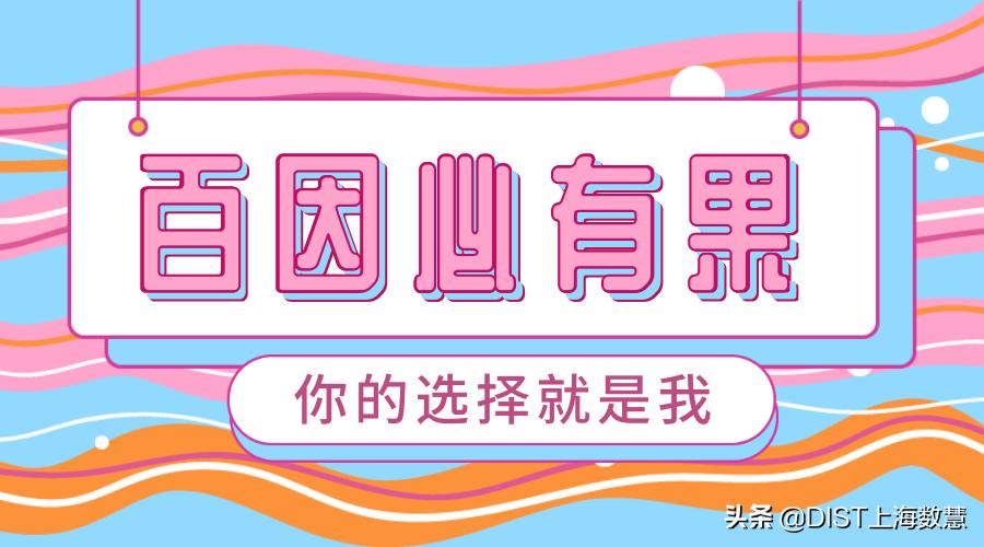 数慧校招|百因必有果,你的选择就是我