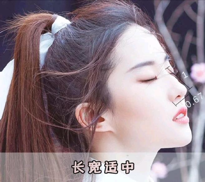 好看鼻子的七个标准，增添颜值还有辨识度，看你中了几条？