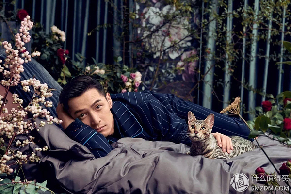 古麒羽绒鹅绒被怎么样,羽绒被是鹅绒的好还是金貂绒的好