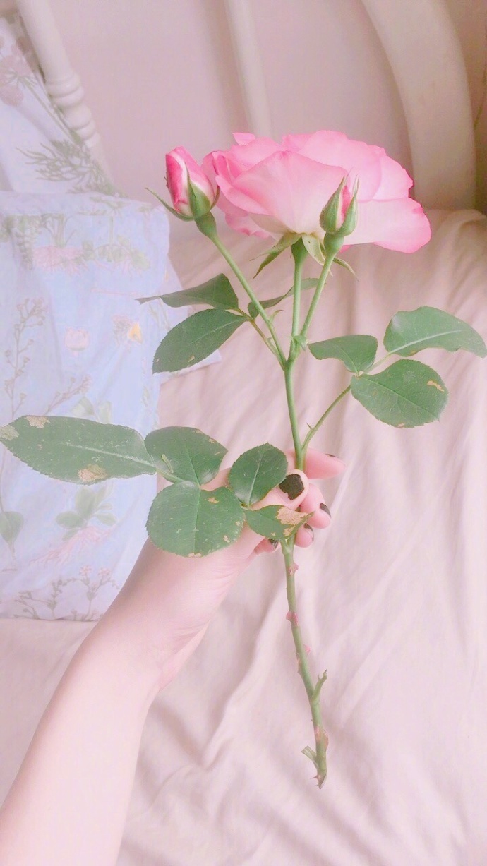 水逆退散壁纸高清无水印图片,水逆退散防小人手机壁纸图片