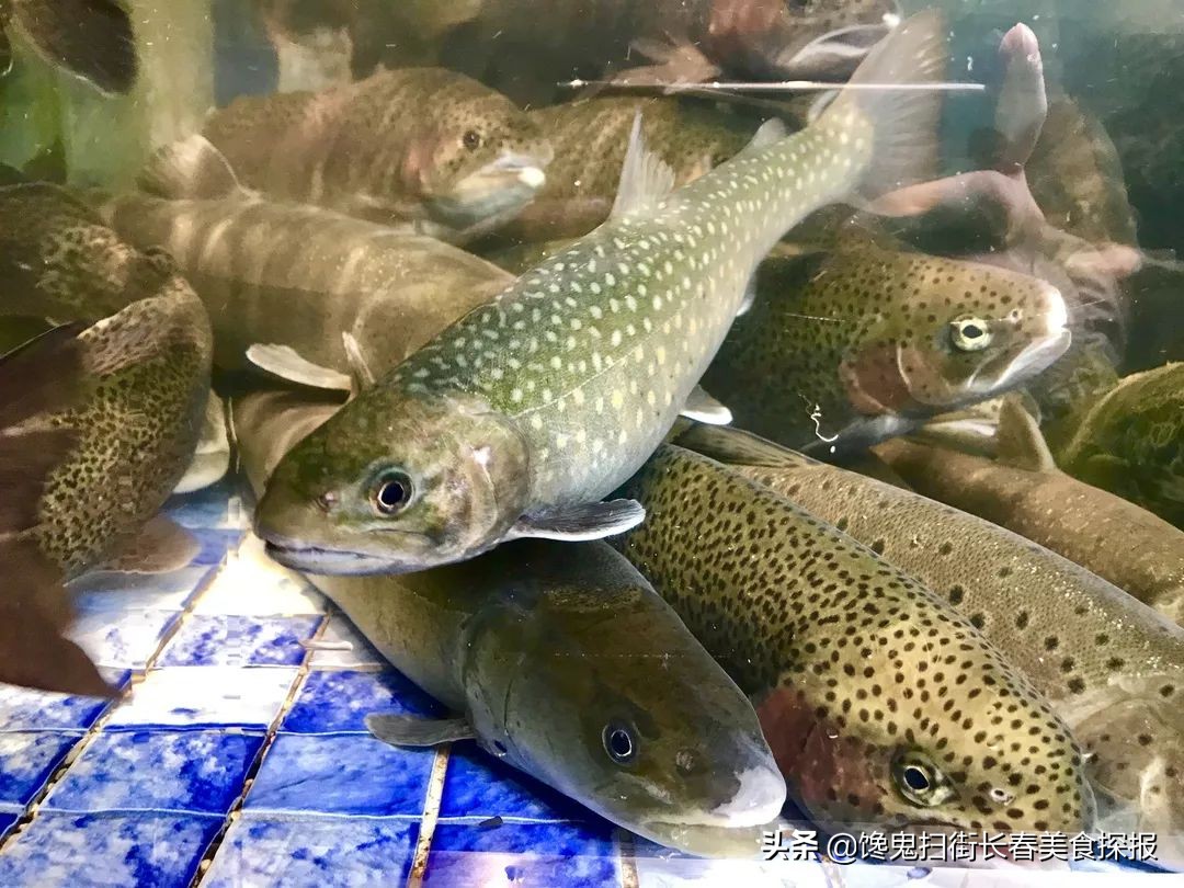 长春十个必去的经典馆子,长春市有哪些好吃的馆子