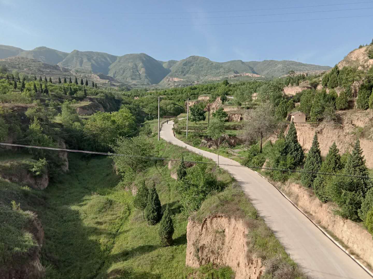 甘谷金山农民作家张志刚,甘谷徒步张志刚