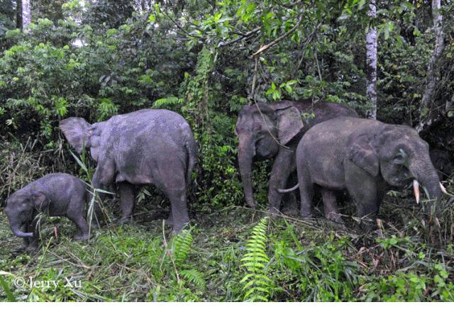 希望疫情早点结束能陪孩子多走走,待疫情彻底过去