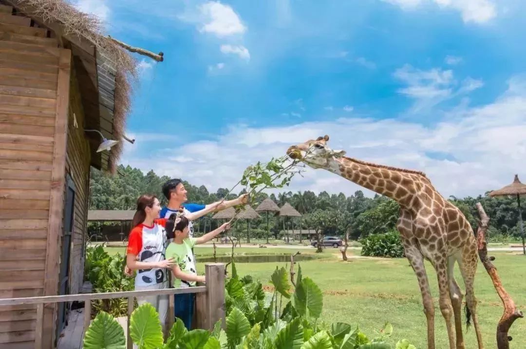 超级详细的广州长隆旅游攻略,超详细的广州长隆游玩攻略