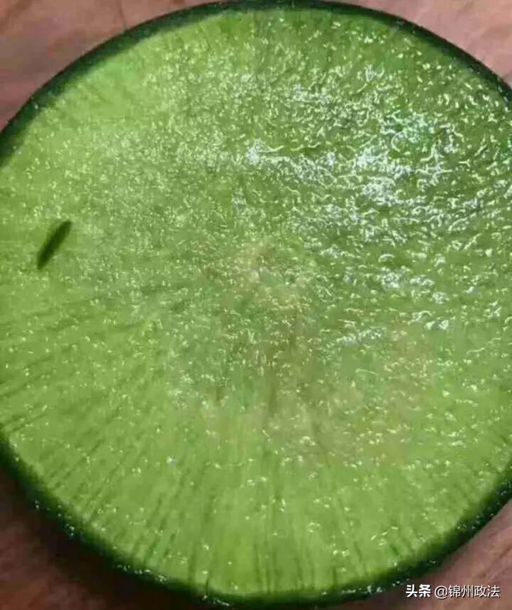 沈阳有什么特色农产品,辽宁省14个市县特产农产品