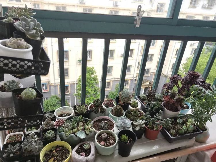 大四老学姐的寝室生活,养肉路上的真实感受