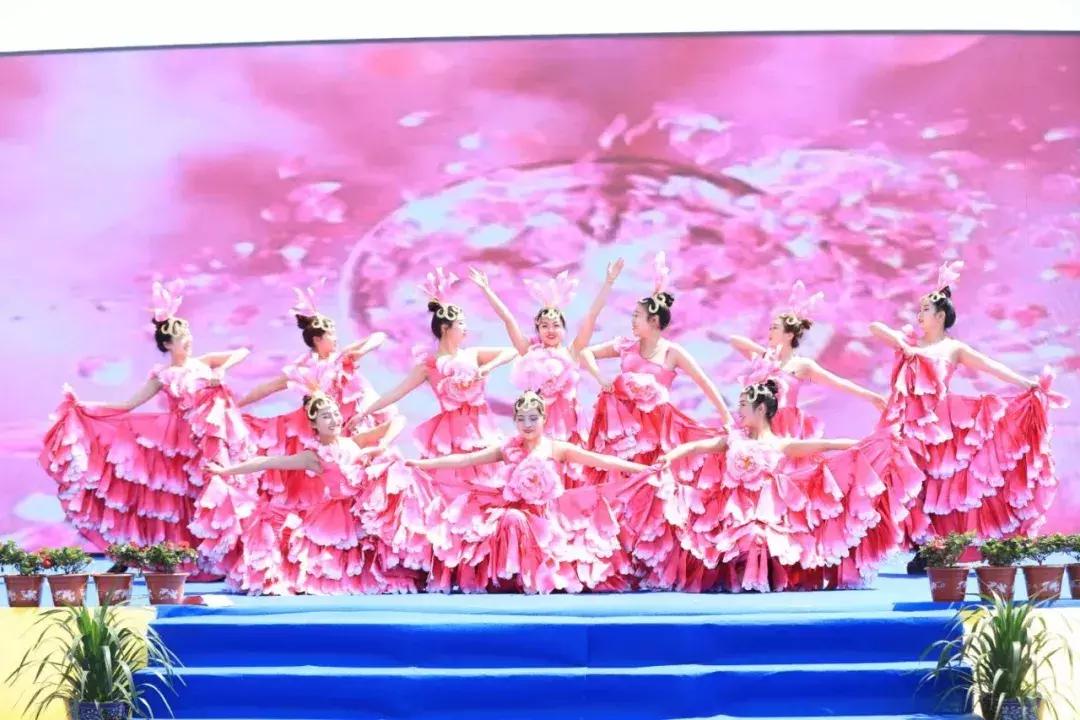 舞阳县最新项目推进,舞阳县最新重点项目