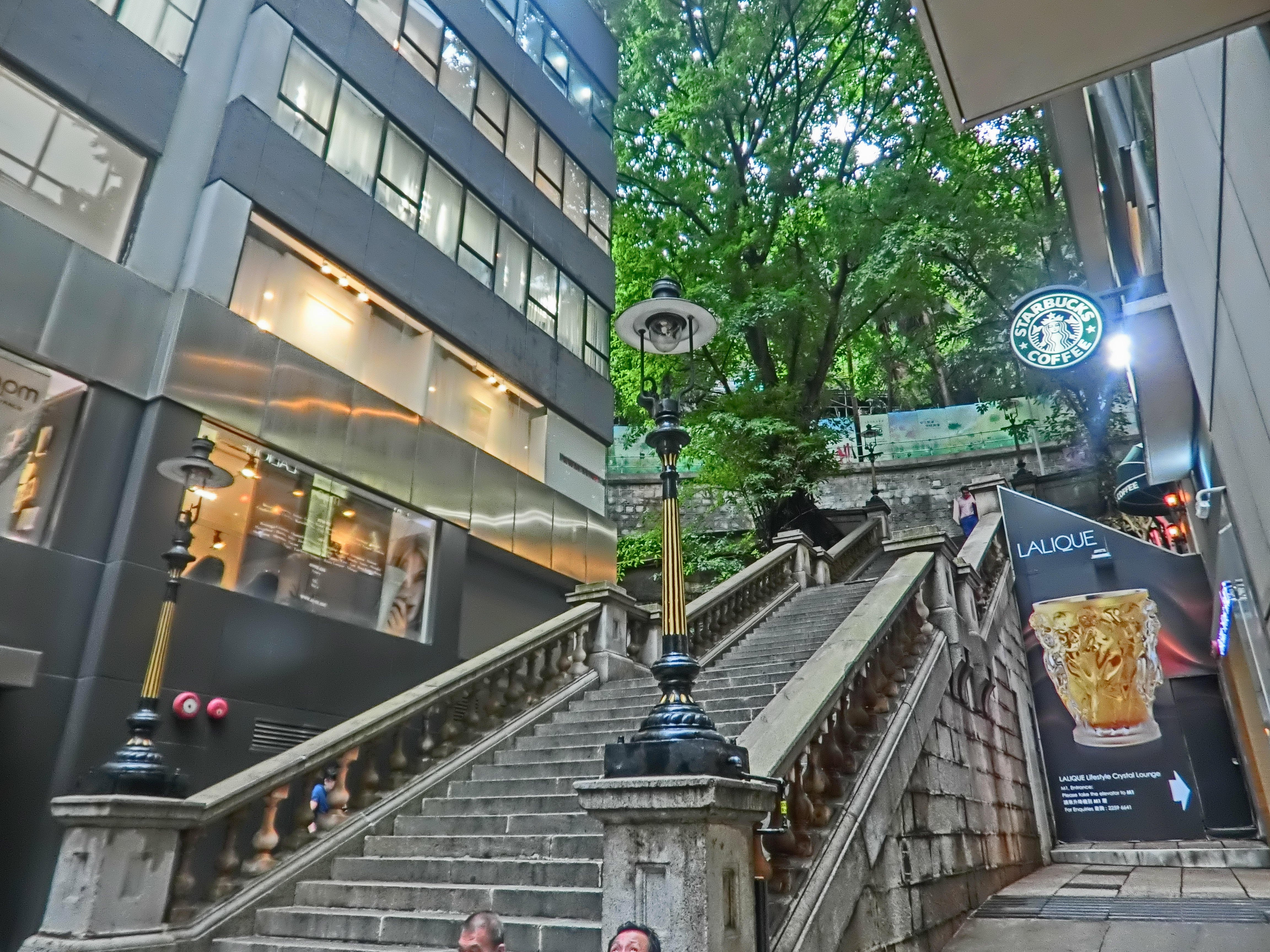 香港攻略dfs,香港攻略热门推荐