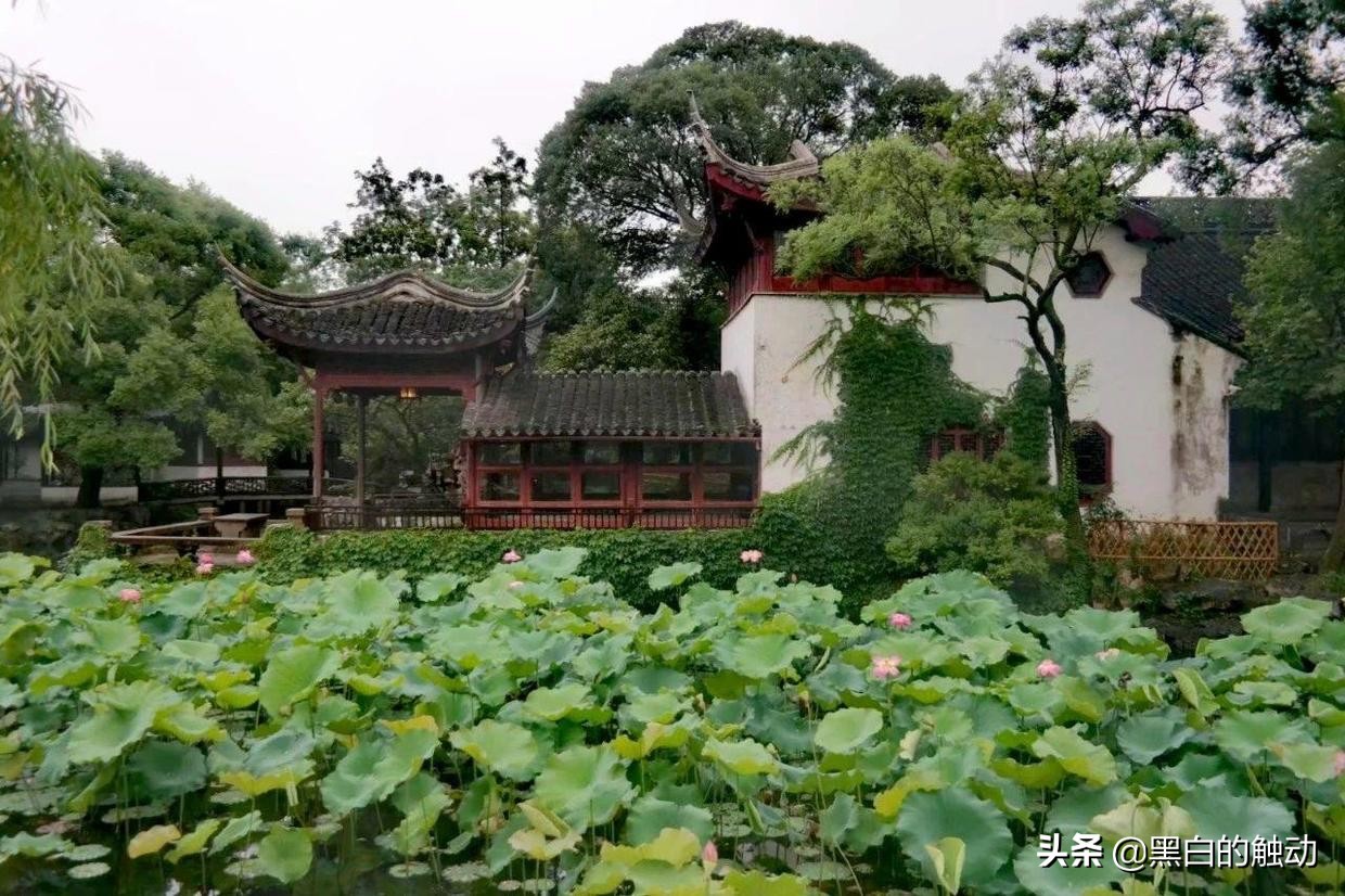 苏州除了拙政园还有哪个园林最好,苏州哪个园林最值得游玩