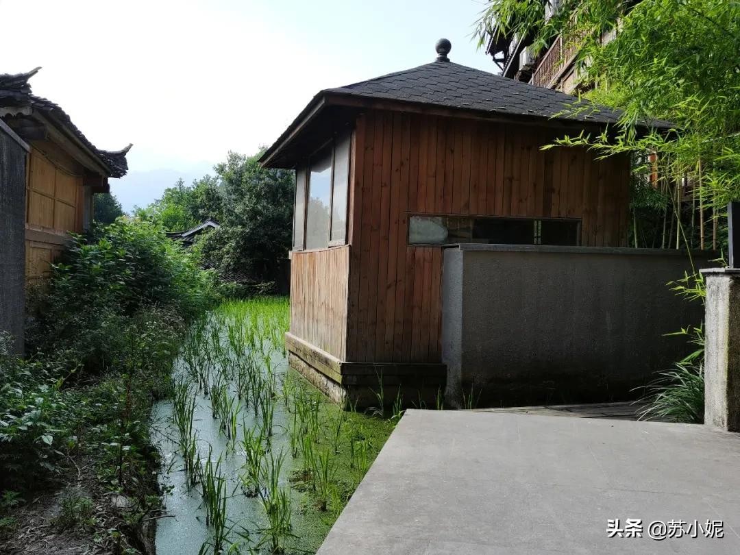 行走贵州旅行,贵州游记第五站西江千户苗寨