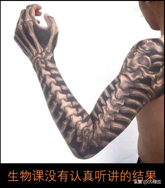 梗图大合集,我的世界梗图合集