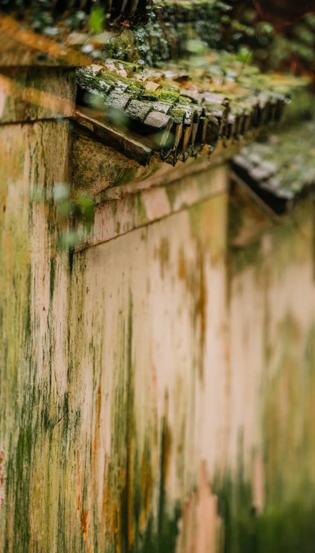 舟山副市长方维,5月23日在驴妈妈直播间带你“舟游列岛gou”!