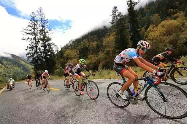 骑行受伤最佳处理方法,骑行中遇到的各种问题