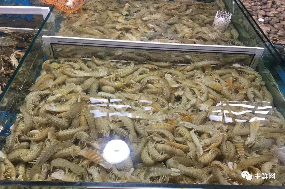 水产销售的技巧和方法,7月水产