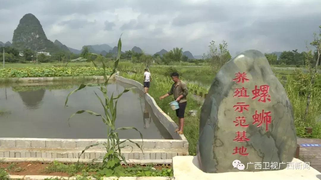 柳江区这个淘宝村太棒了！被马云看中，全广西只有3个