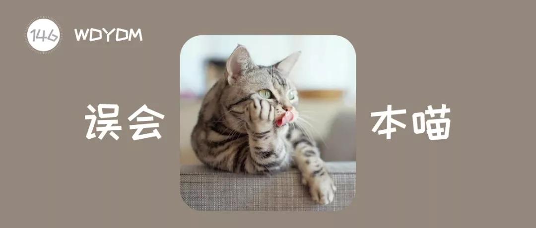 猫咪为什么喜欢咬主人的手和脚,猫咪为什么喜欢早上睡醒轻咬主人