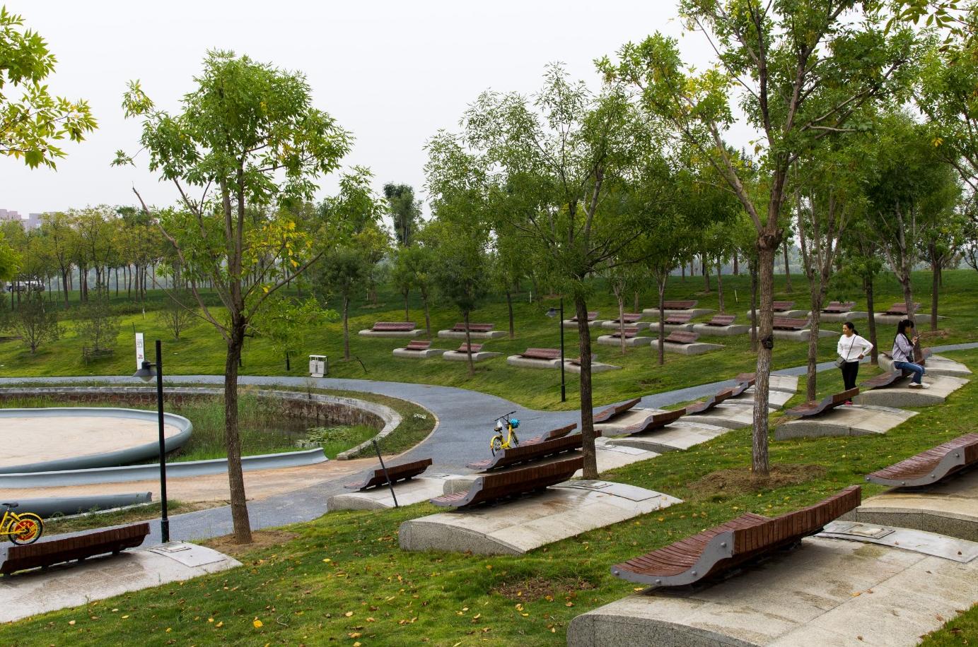 郑东新区象湖生态工程,郑东新区象湖南岸景观绿化工程