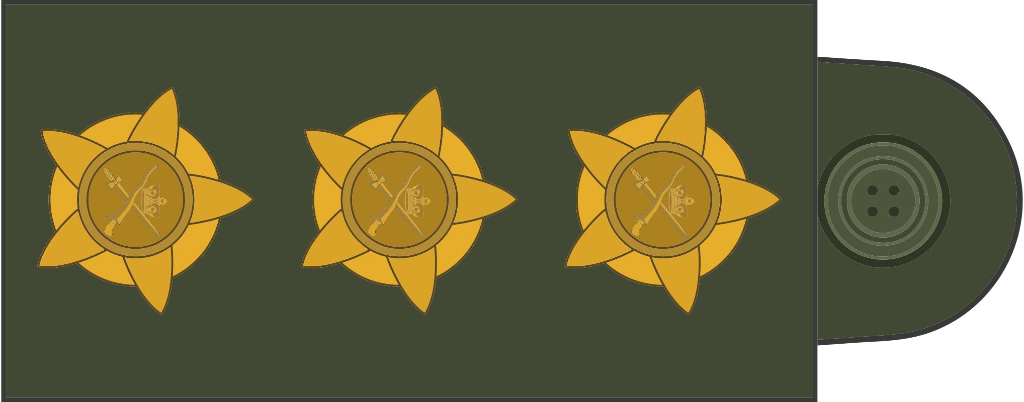 各国军衔标识韩国,马来西亚军衔等级对照表