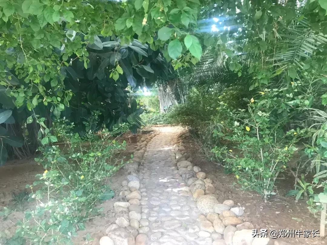 郑州市第一批次高中名单,郑州小三甲名校之郑州七中