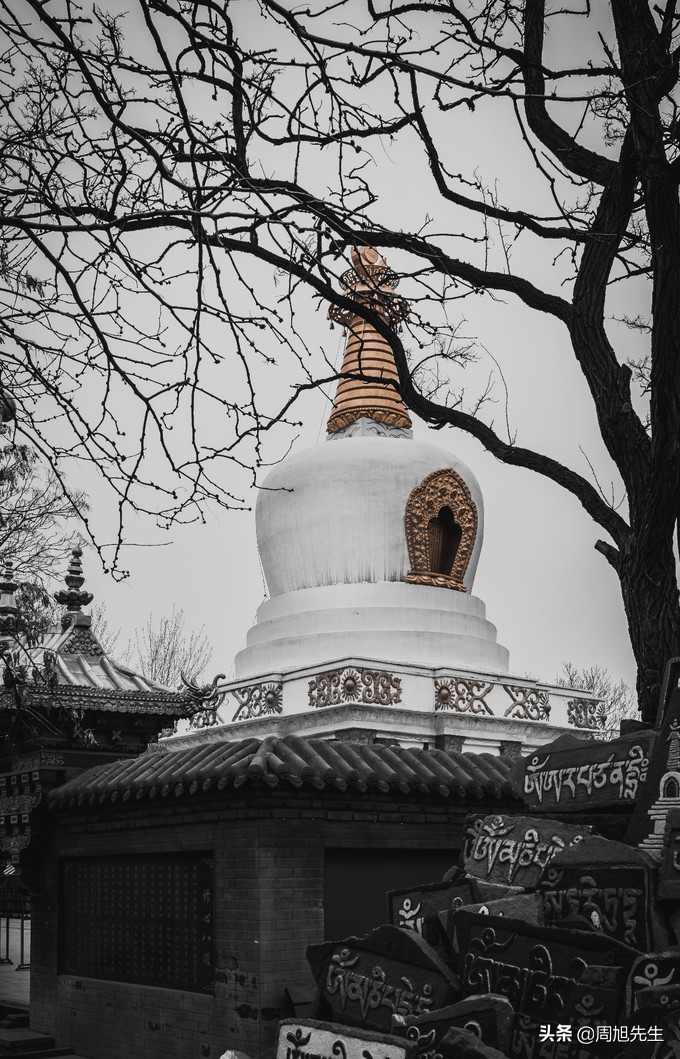 从沈阳去三亚旅游攻略路线推荐图,沈阳旅游攻略三日游最佳路线