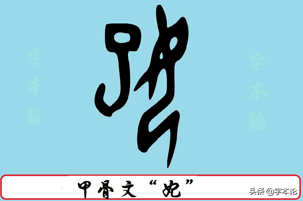 配的含义,配的含义是什么意思