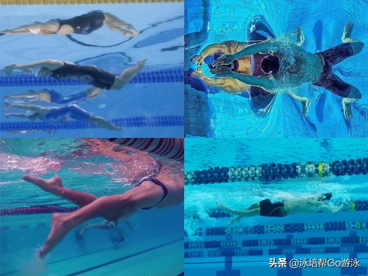 游泳基础自学,游泳自学入门篇