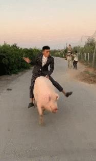 b站lol,b站lol集锦